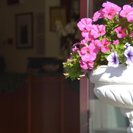 Hotel Bel Sogno Rimini Kültér fotó