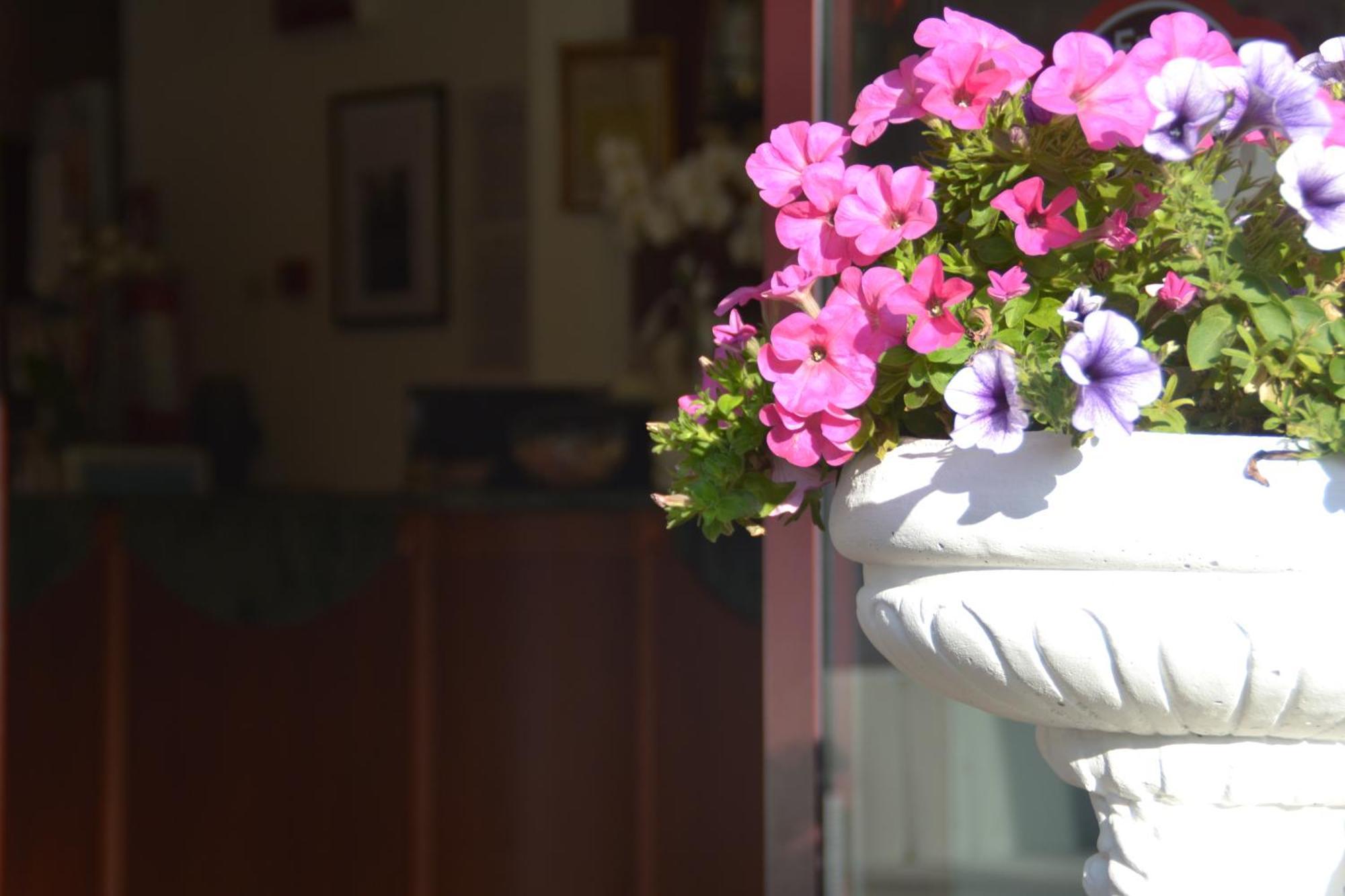 Hotel Bel Sogno Rimini Kültér fotó