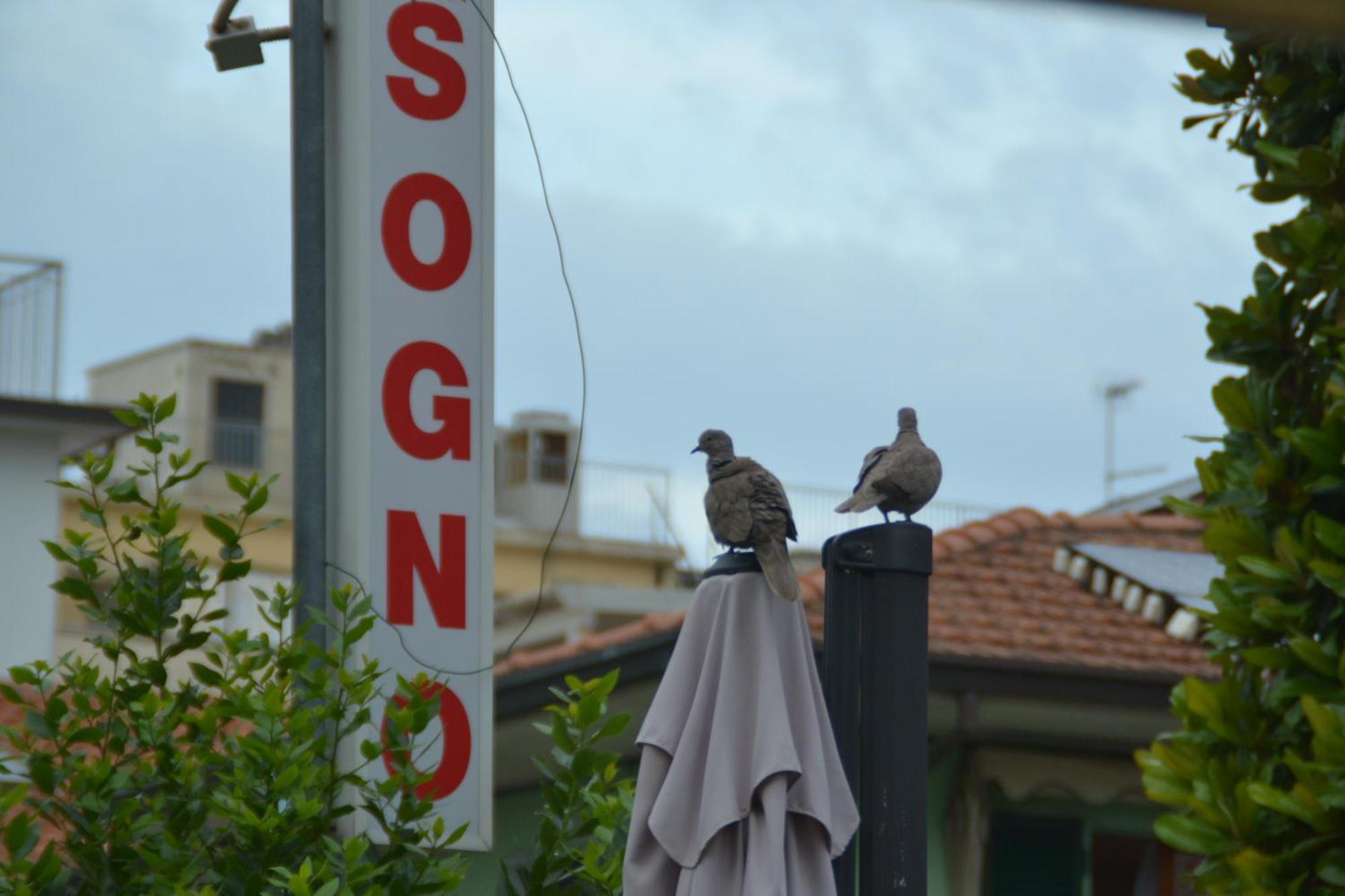 Hotel Bel Sogno Rimini Kültér fotó